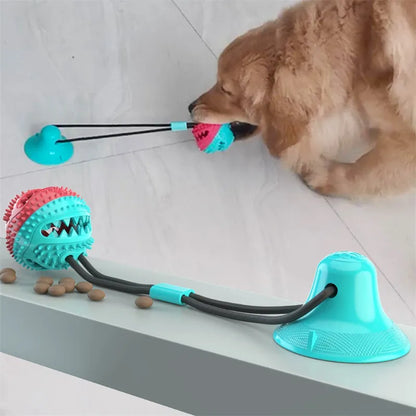 Suction Cup Interactive Dog Toy — Tug & Fetch Ball