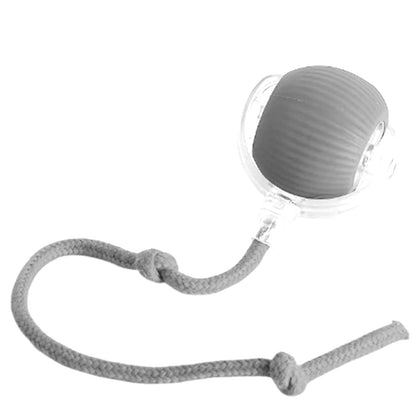 Smart cat toy ball with motion sensor and auto direction change