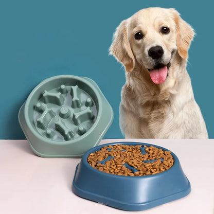 Slow Feeder Pet Bowl — Anti-Bloat Maze Bowl for Dogs & Cats