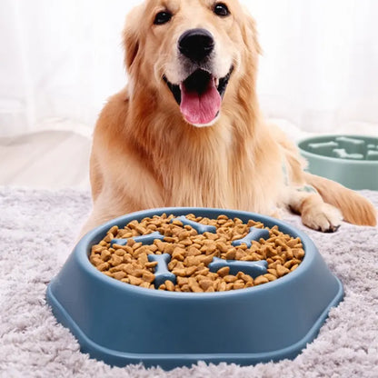 Slow Feeder Pet Bowl — Anti-Bloat Maze Bowl for Dogs & Cats