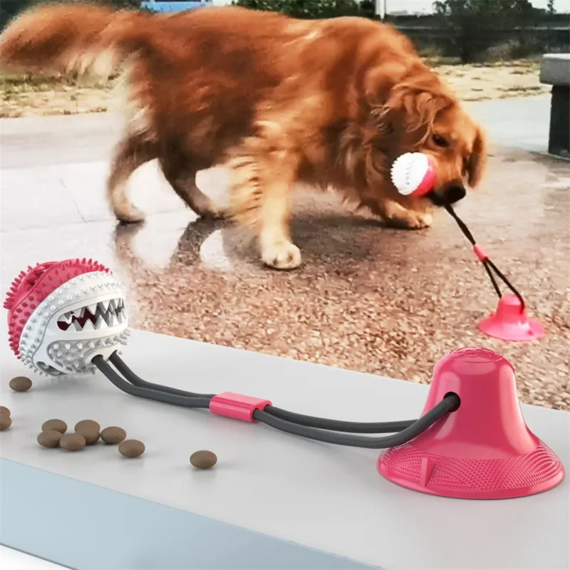 Suction Cup Interactive Dog Toy — Tug & Fetch Ball