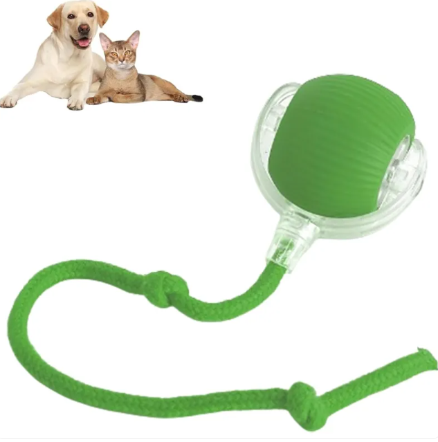 Smart Auto-Rolling Pet Ball — Interactive Toy for Cats & Dogs