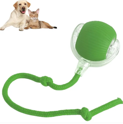 Smart Auto-Rolling Pet Ball — Interactive Toy for Cats & Dogs