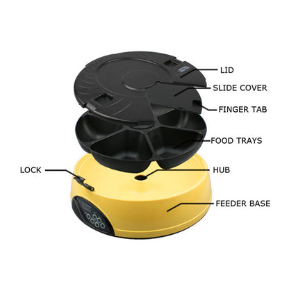 Automatic Pet Feeder with Bowls — Programmable Meal Scheduler