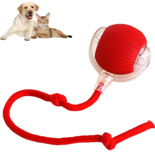 Smart Auto-Rolling Pet Ball — Interactive Toy for Cats & Dogs