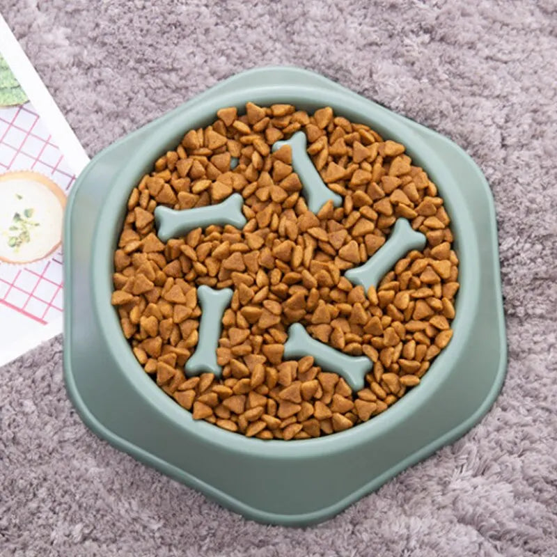 Slow Feeder Pet Bowl — Anti-Bloat Maze Bowl for Dogs & Cats