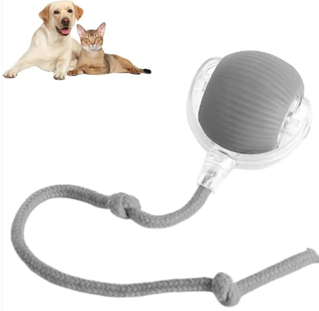 Smart Auto-Rolling Pet Ball — Interactive Toy for Cats & Dogs