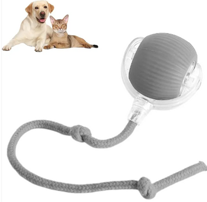 Smart Auto-Rolling Pet Ball — Interactive Toy for Cats & Dogs
