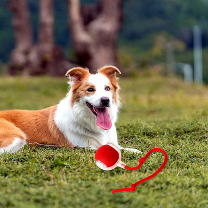 Cat toy ball size comparison — suitable for cats and small to medium dogs