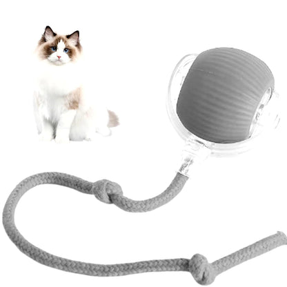 Self-rolling interactive cat toy ball in grey — automatic smart pet toy for indoor cats